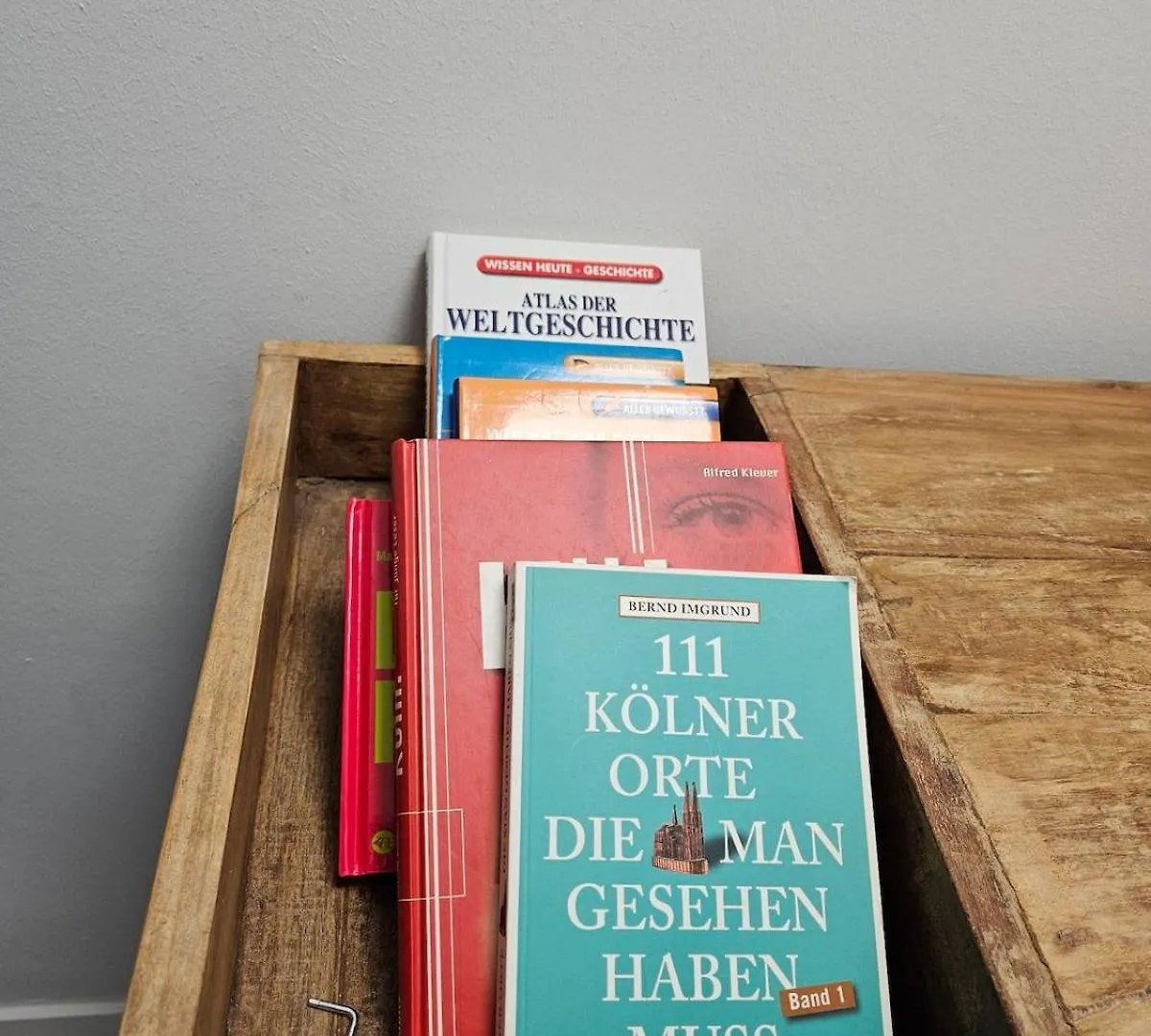 Apartmán Charming Zimmer Koeln Messenaehe Německo